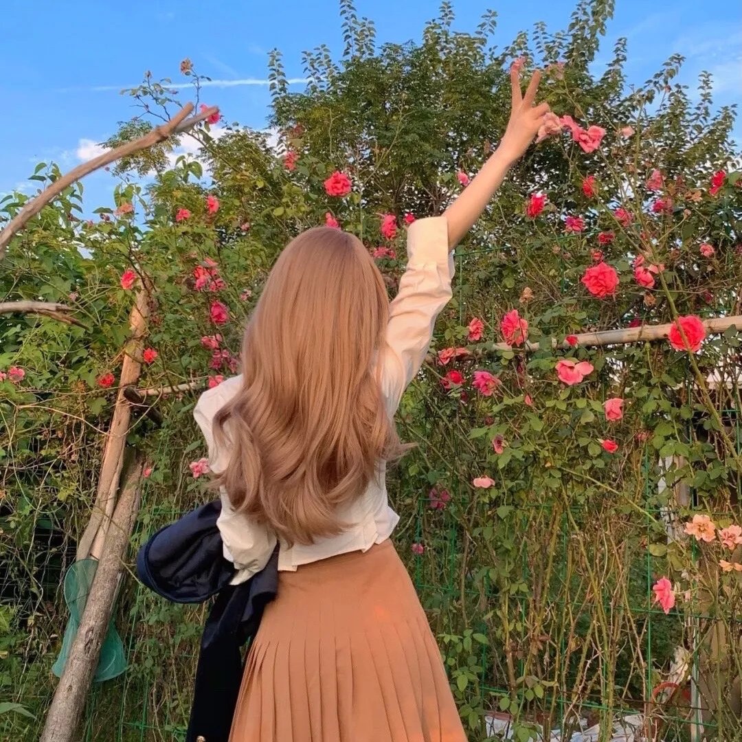 IQ博士之夺宝大行动